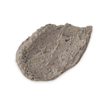 Persephone's Pomegranate